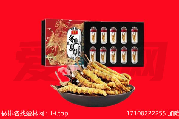 科尔沁右翼中旗回收虫草.jpg